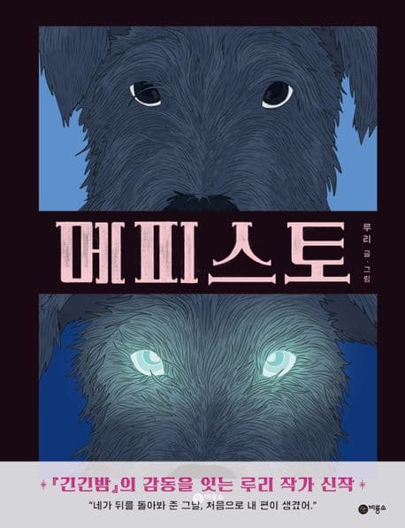 메피스토의 표지