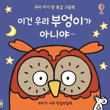 이건 우리 부엉이가 아니야의 표지