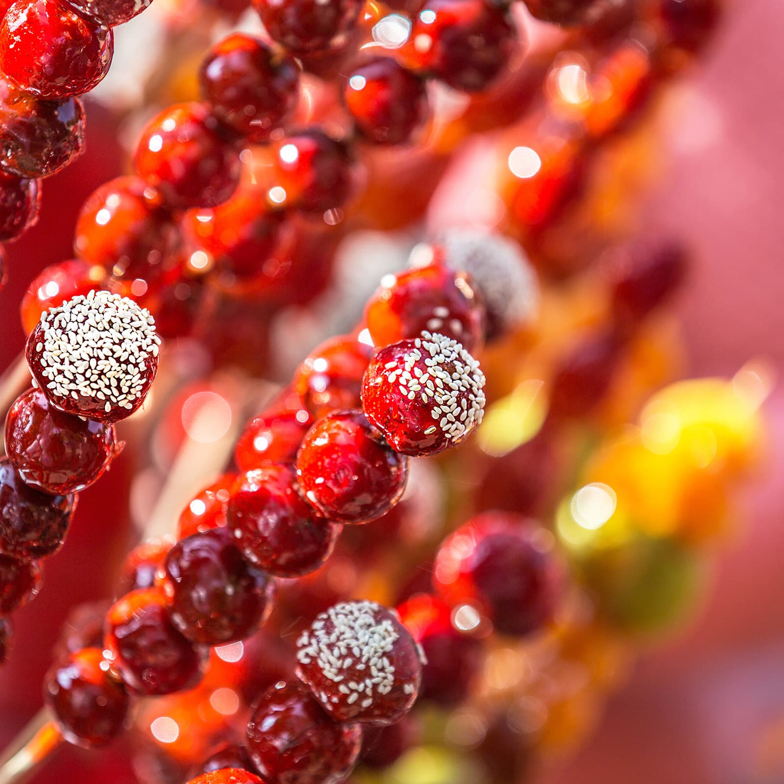 아이가 탕후루를 먹는다면? 충치 예방 습관을 기르는 3가지 대화법의 커버 이미지